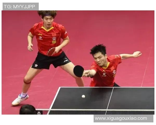 南京乒乓球队在世界杯中的心理素质分析与表现评估